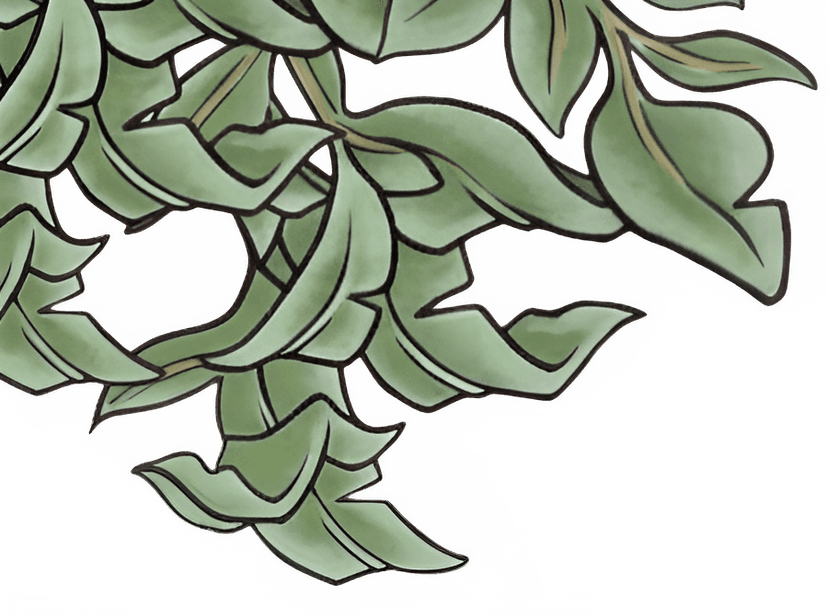 Pflanzen-Dekoration links